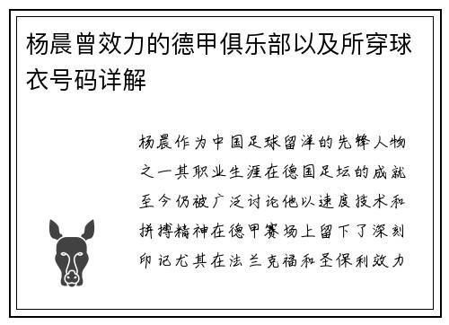 杨晨曾效力的德甲俱乐部以及所穿球衣号码详解